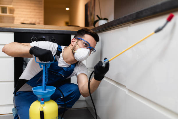 Best Emergency Pest Control  in Sanford, FL