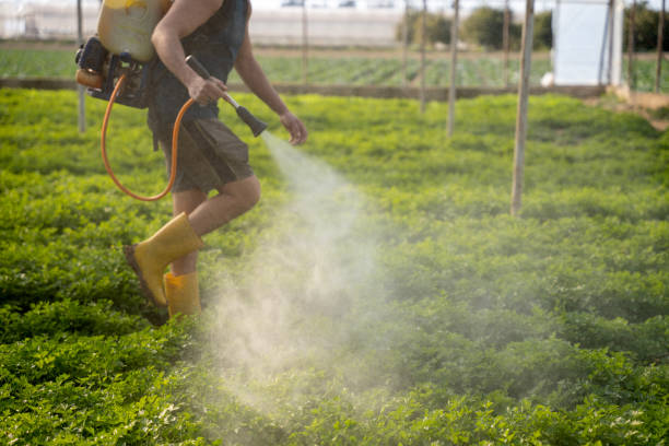 Best Pest Inspection Near Me  in Sanford, FL