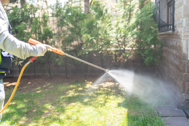 Best Local Pest Control Services  in Sanford, FL