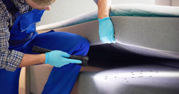 Best Wasp Removal Services  in Sanford, FL