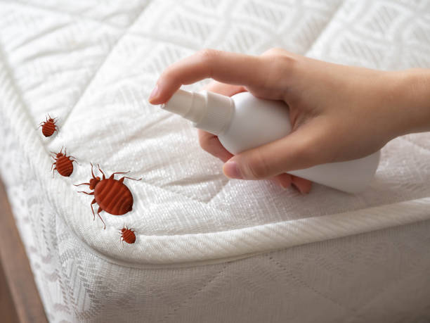 Best Affordable Pest Control Services  in Sanford, FL