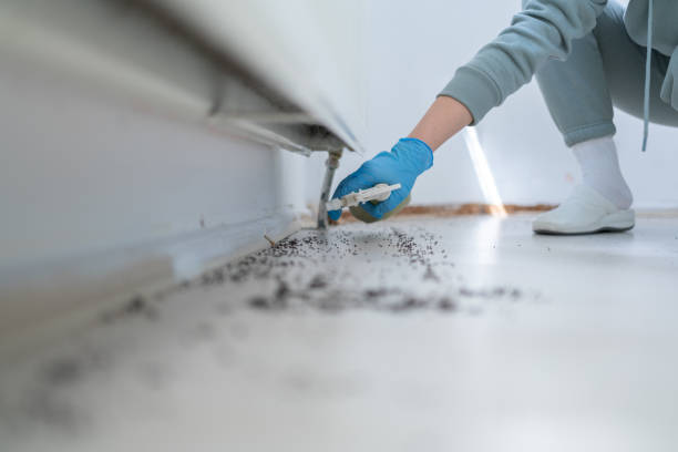 Best Mosquito Control Services  in Sanford, FL