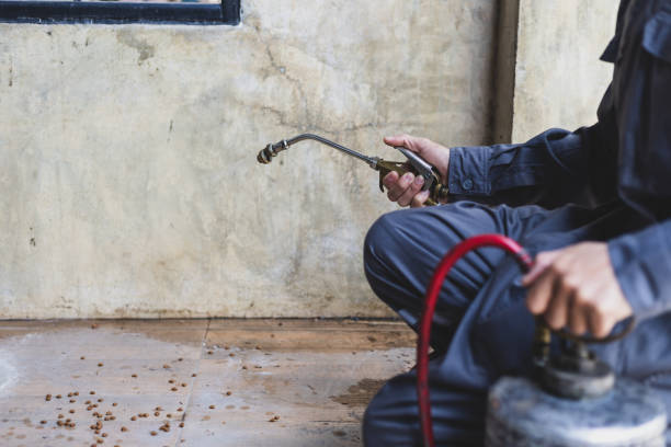 Best Affordable Pest Control Services  in Sanford, FL